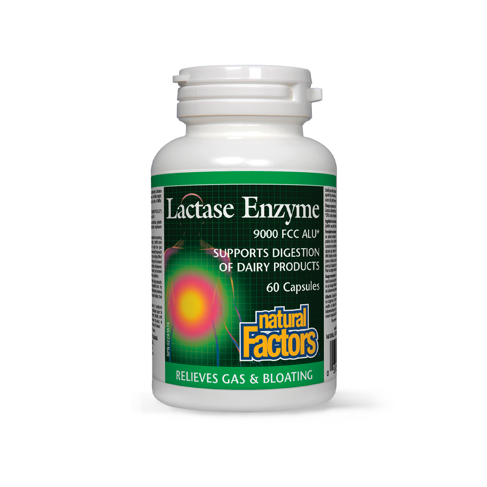 LACTASE ENZYME (laktóz enzim)