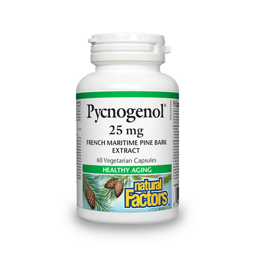 Pycnogenol – 25 g – 60 kapszula