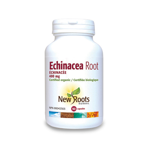 Echinacea Root Forte 400 mg - 90 növényi kivonat kapszula